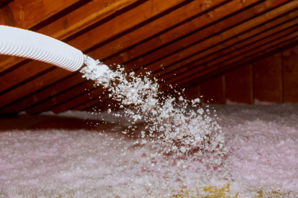 Best Specialized Insulation Services in Nisswa, MN